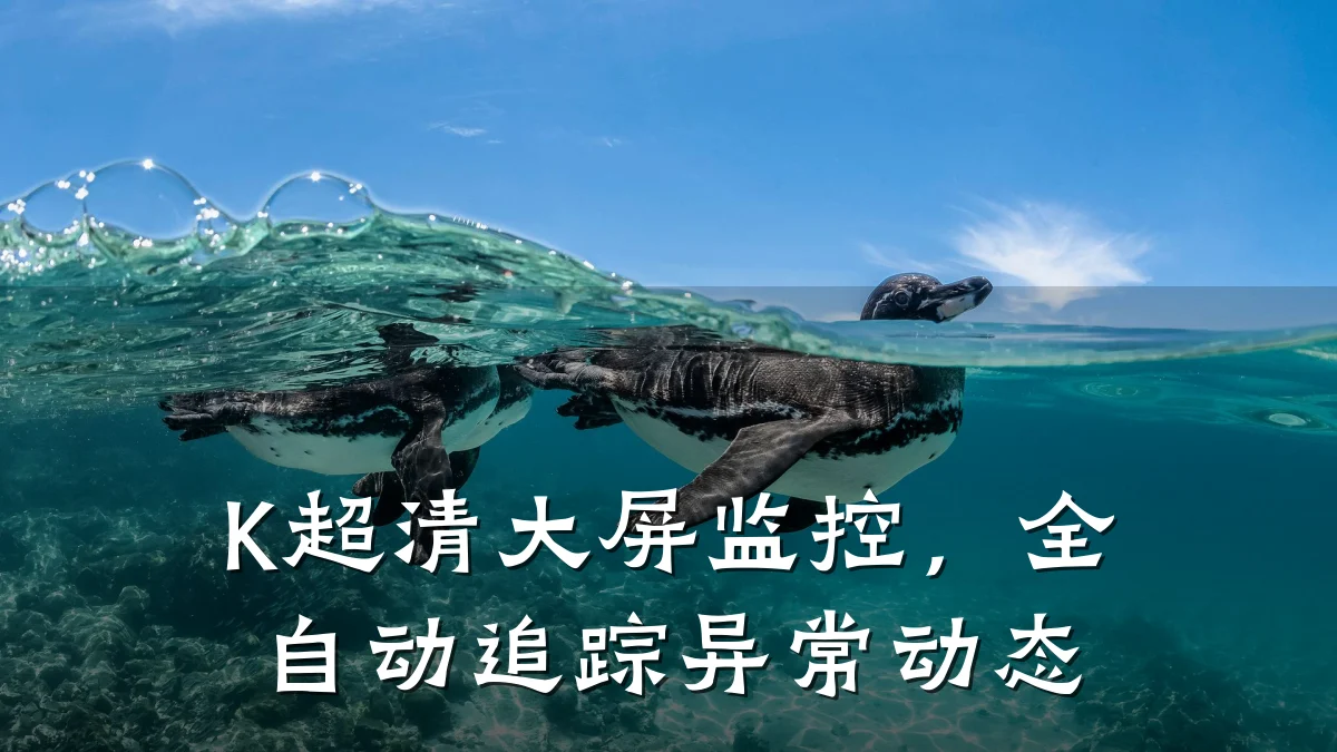 K超清大屏监控,全自动追踪异常动态