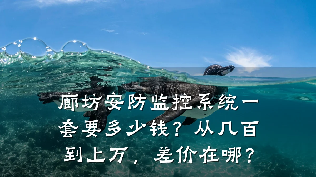 廊坊安防监控系统一套要多少钱?从几百到上万,差价在哪?