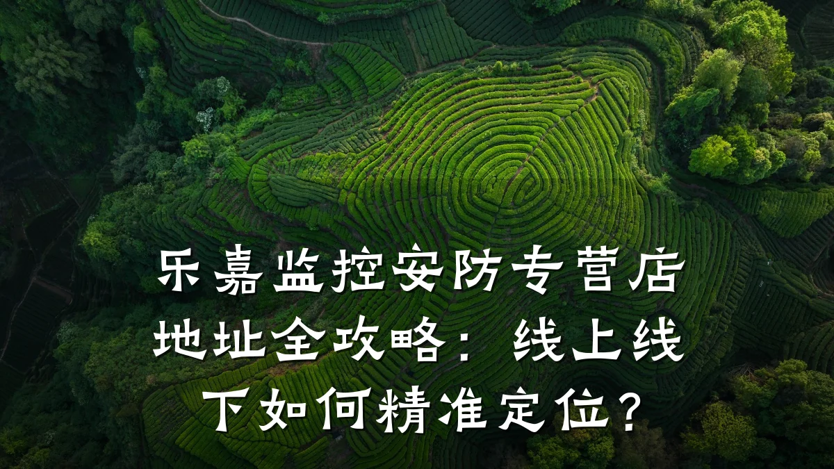乐嘉监控安防专营店地址全攻略:线上线下如何精准定位?