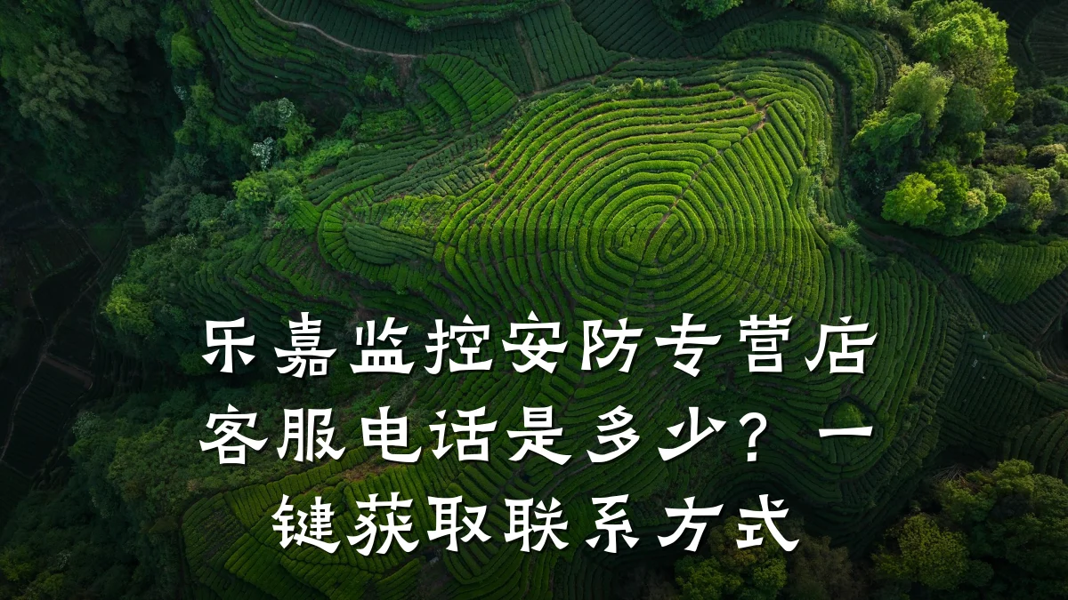 乐嘉监控安防专营店客服电话是多少?一键获取联系方式