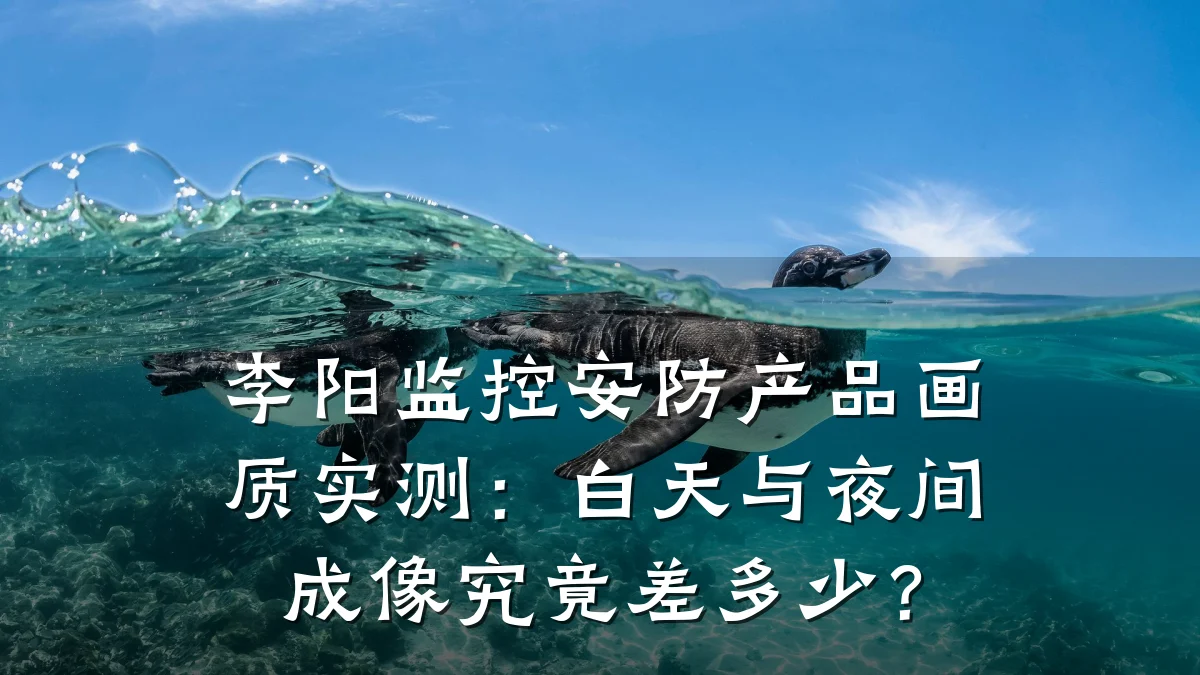 李阳监控安防产品画质实测:白天与夜间成像究竟差多少?