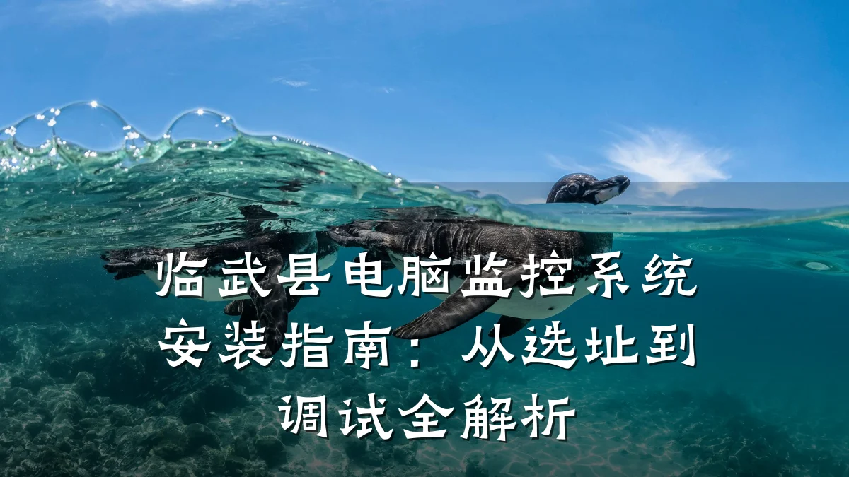 临武县电脑监控系统安装指南:从选址到调试全解析