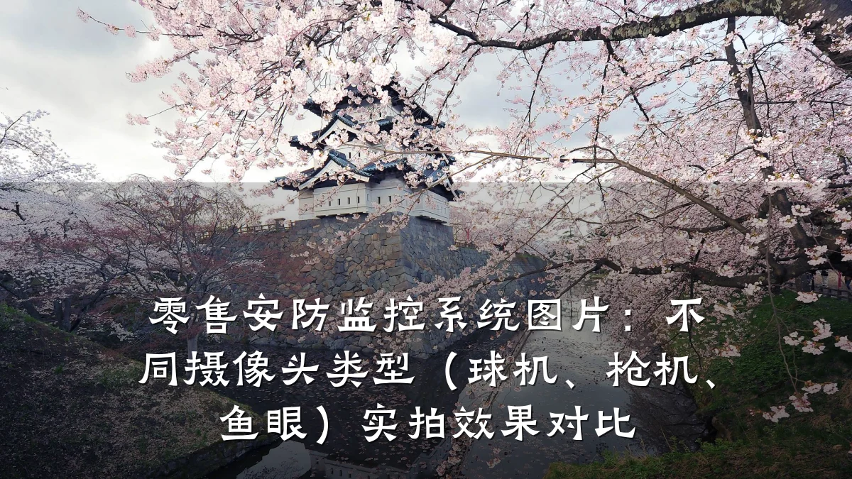 零售安防监控系统图片:不同摄像头类型(球机、枪机、鱼眼)实拍效果对比