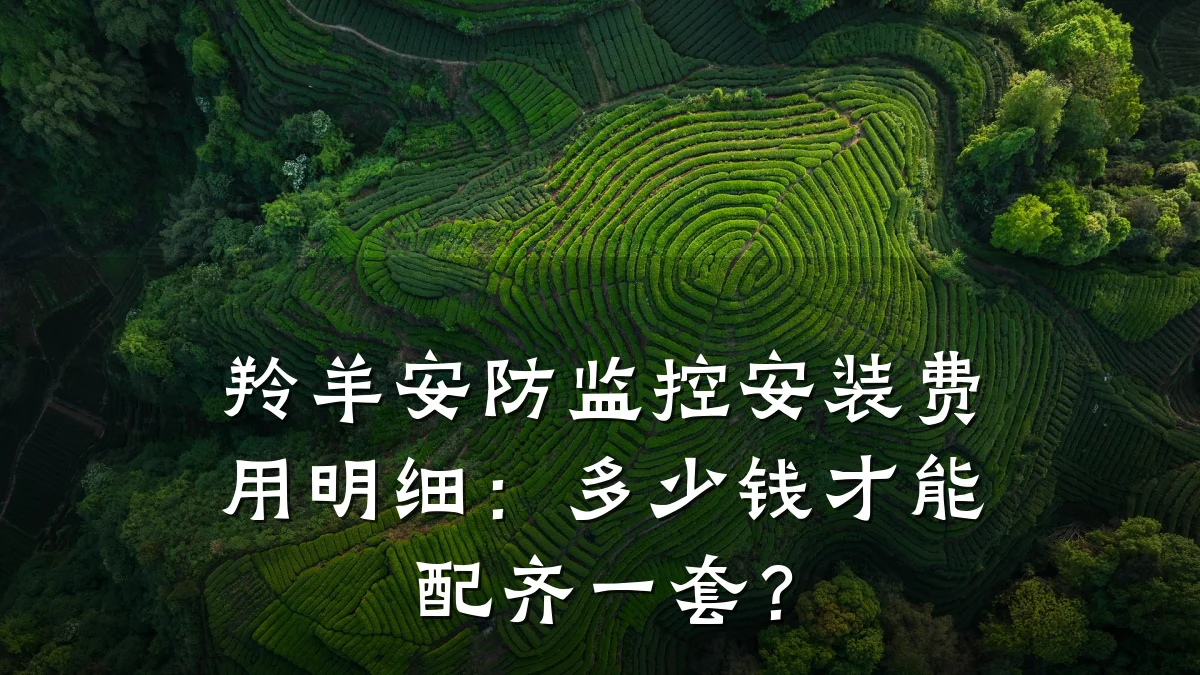 羚羊安防监控安装费用明细:多少钱才能配齐一套?