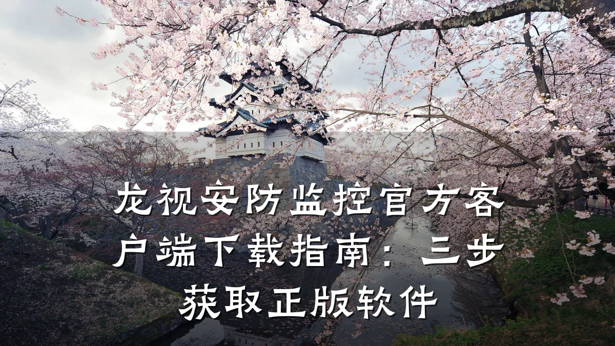 龙视安防监控官方客户端下载指南:三步获取正版软件