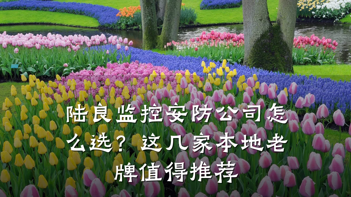 陆良监控安防公司怎么选?这几家本地老牌值得推荐