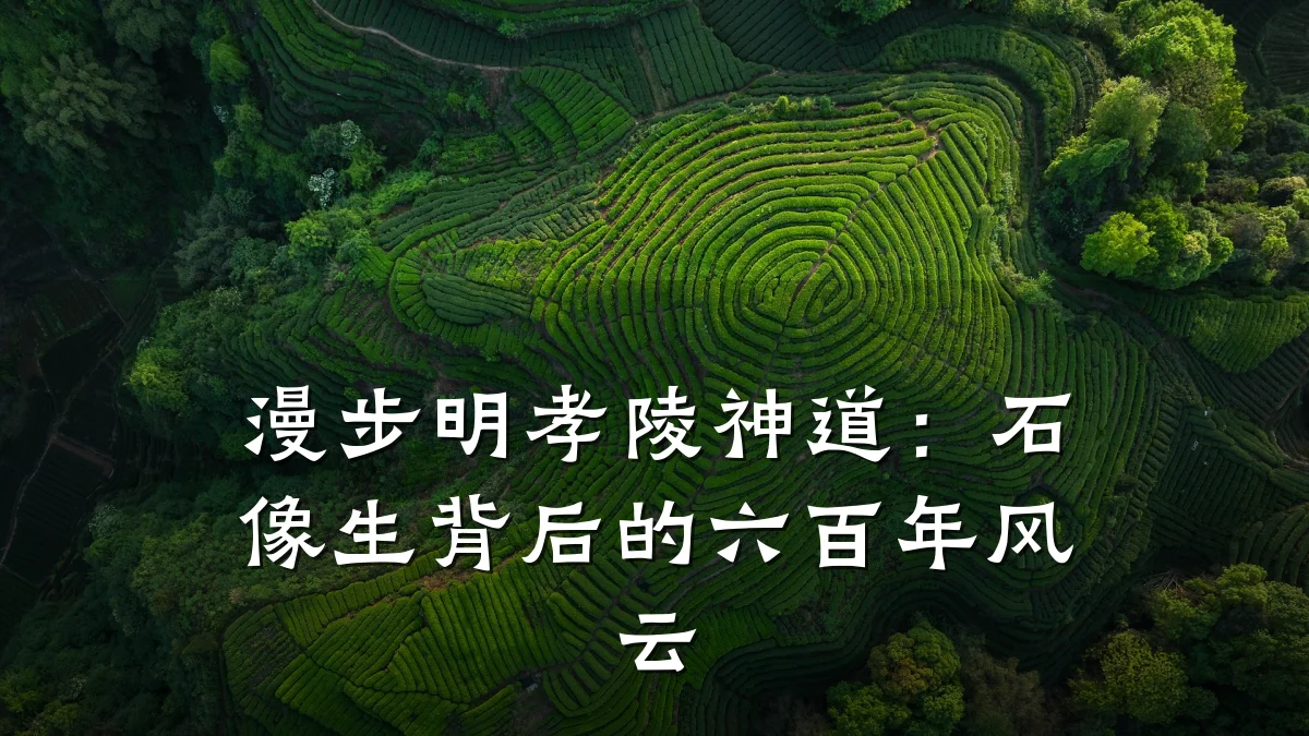 漫步明孝陵神道:石像生背后的六百年风云