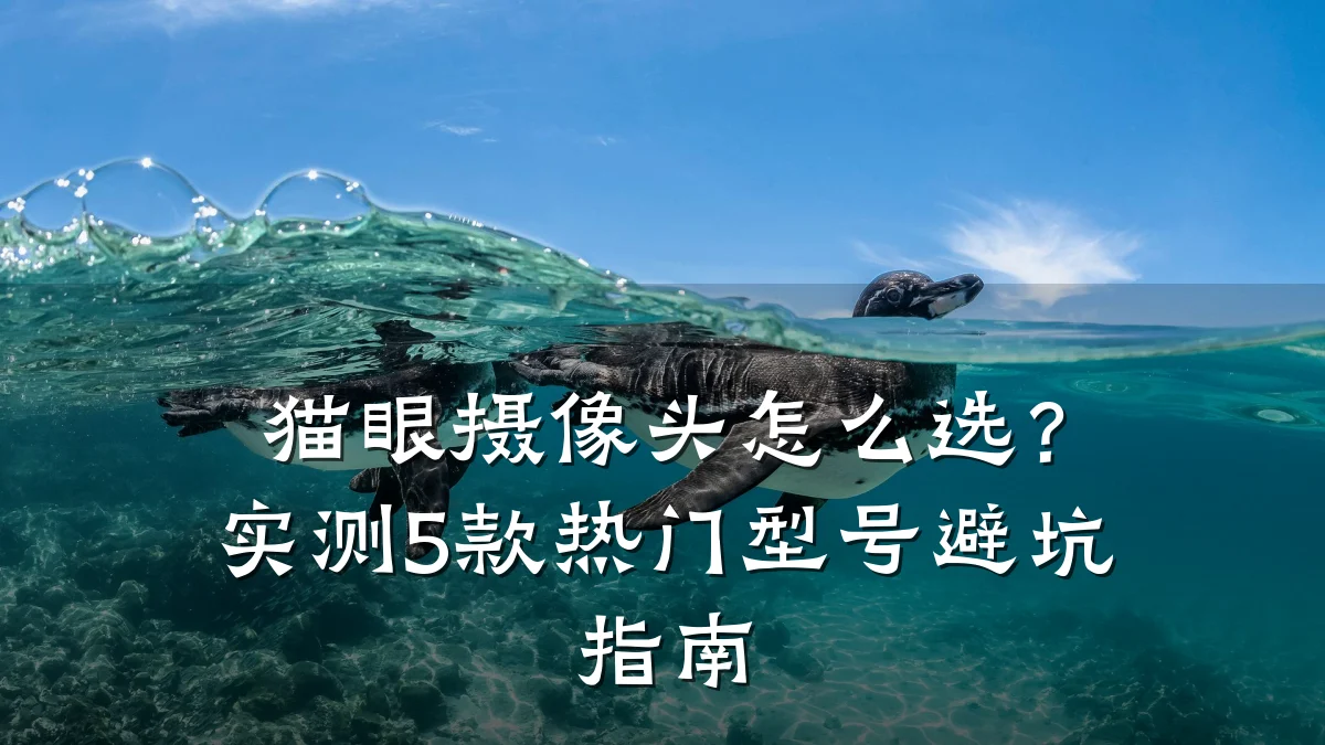 猫眼摄像头怎么选?实测5款热门型号避坑指南