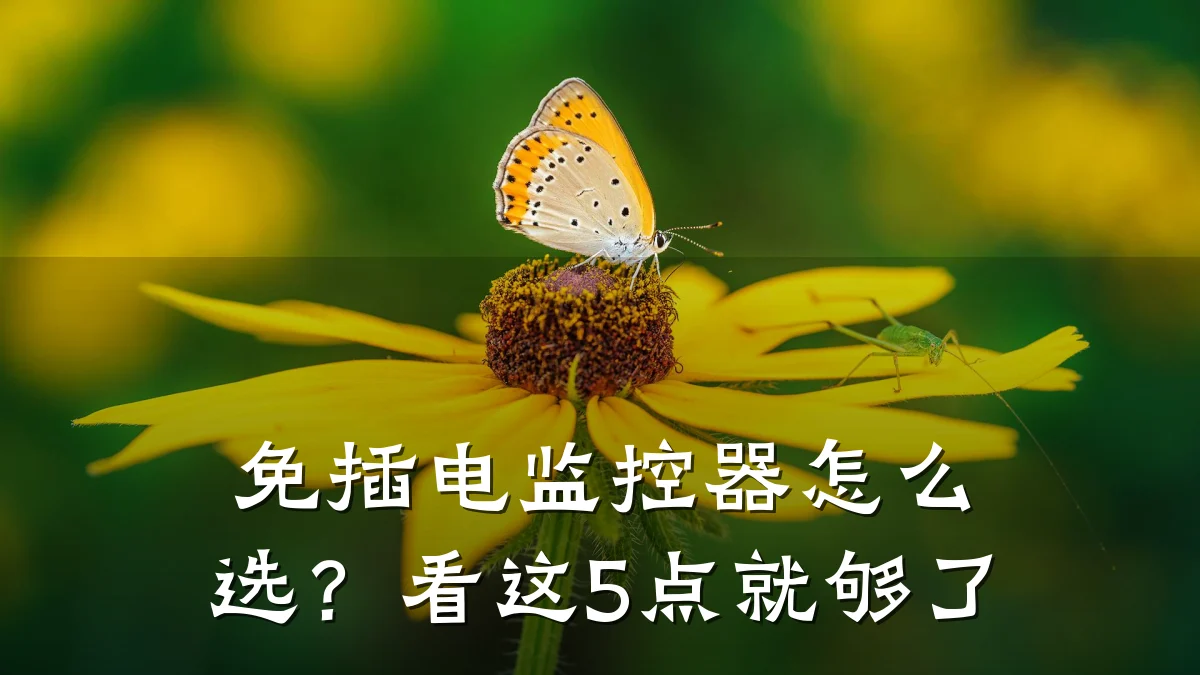免插电监控器怎么选?看这5点就够了