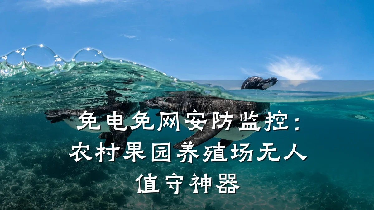 免电免网安防监控:农村果园养殖场无人值守神器