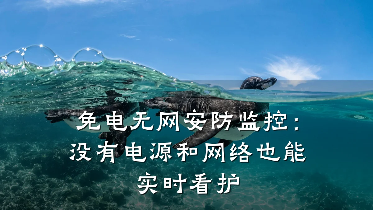 免电无网安防监控：没有电源和网络也能实时看护