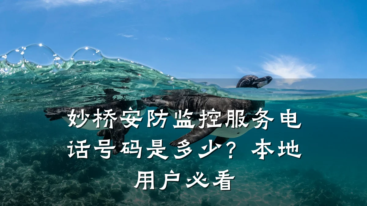 妙桥安防监控服务电话号码是多少?本地用户必看
