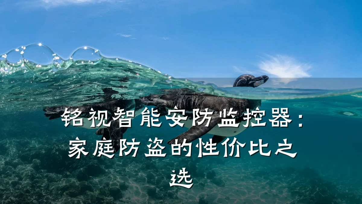 铭视智能安防监控器:家庭防盗的性价比之选