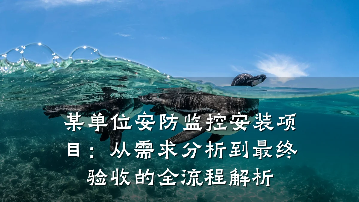 某单位安防监控安装项目：从需求分析到最终验收的全流程解析