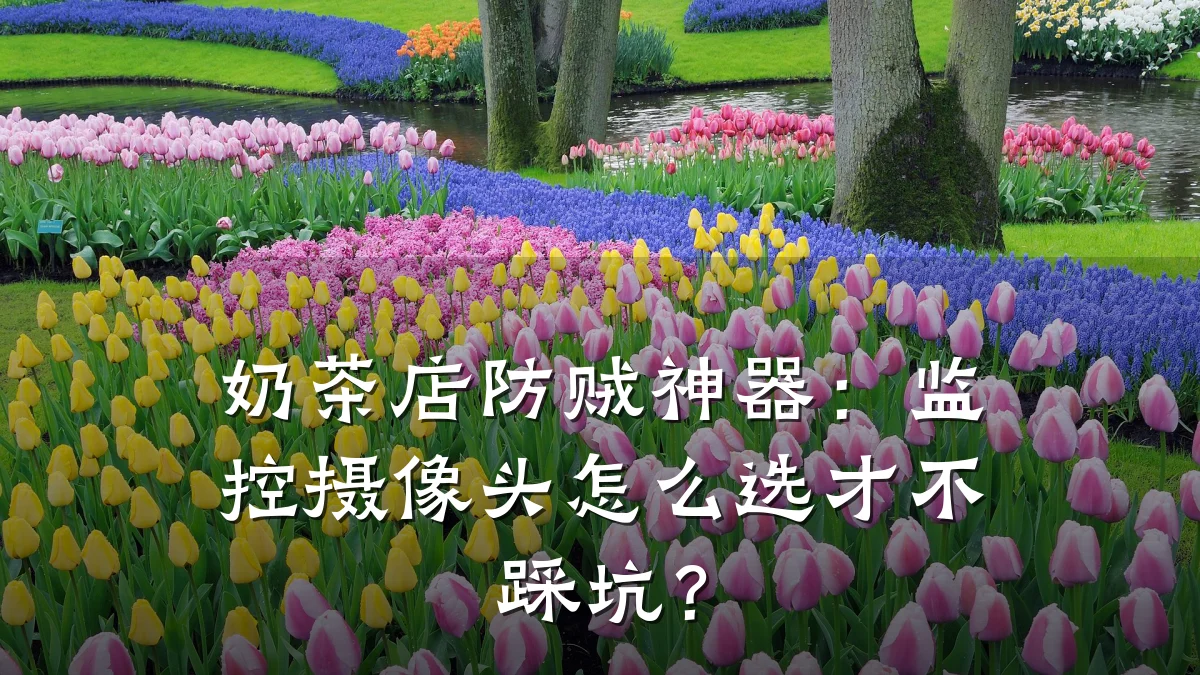 奶茶店防贼神器:监控摄像头怎么选才不踩坑?