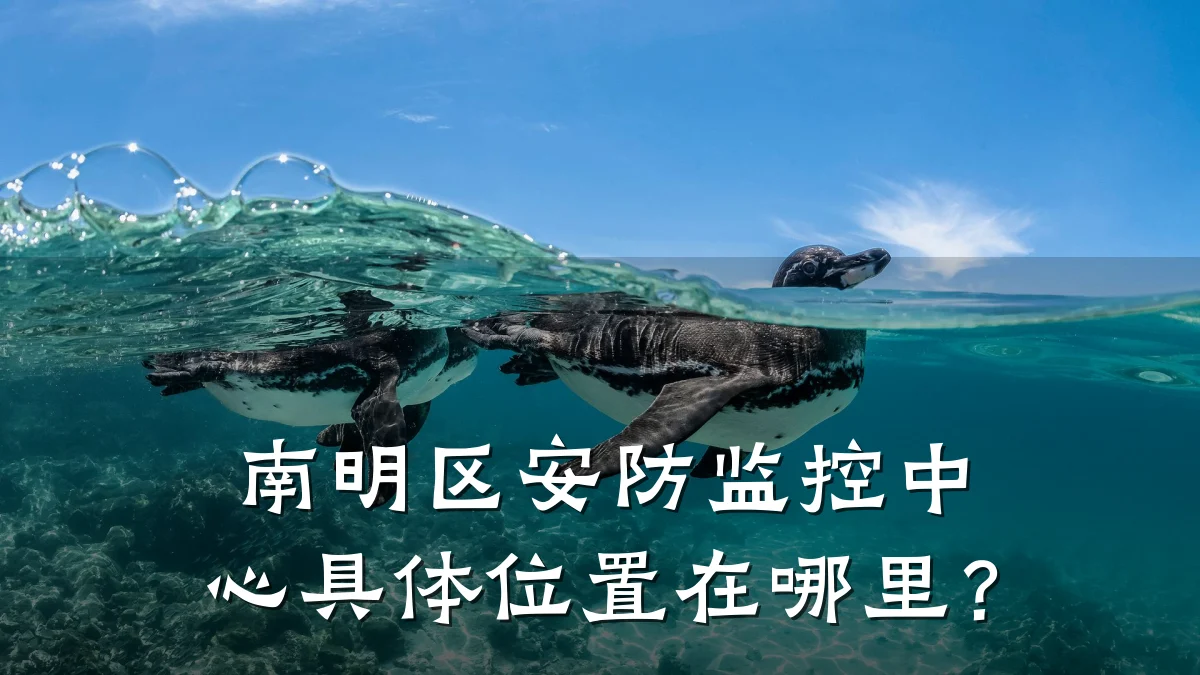 南明区安防监控中心具体位置在哪里?