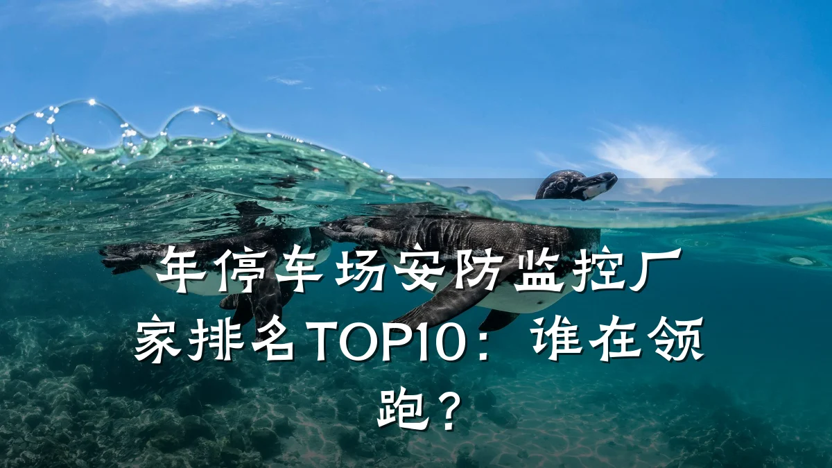 年停车场安防监控厂家排名TOP10:谁在领跑?