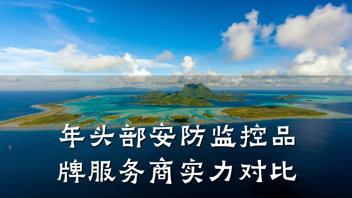 年头部安防监控品牌服务商实力对比