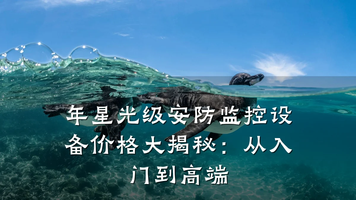 年星光级安防监控设备价格大揭秘:从入门到高端