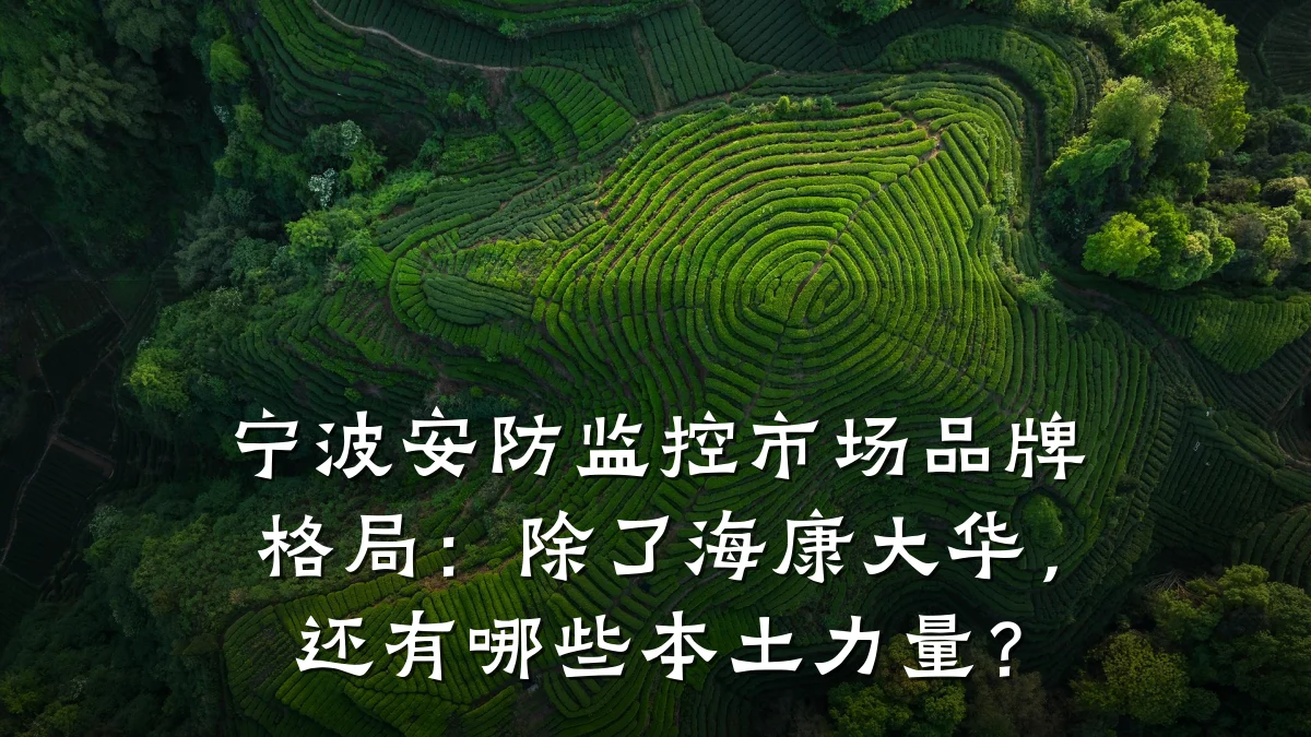 宁波安防监控市场品牌格局:除了海康大华,还有哪些本土力量?