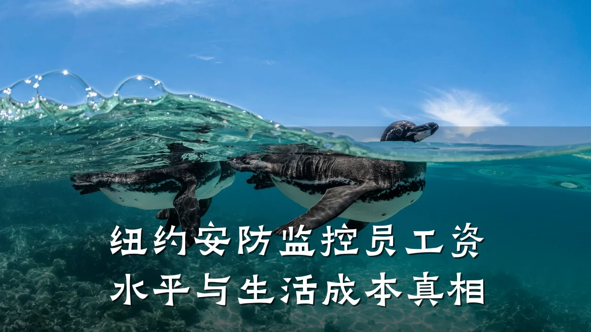 纽约安防监控员工资水平与生活成本真相