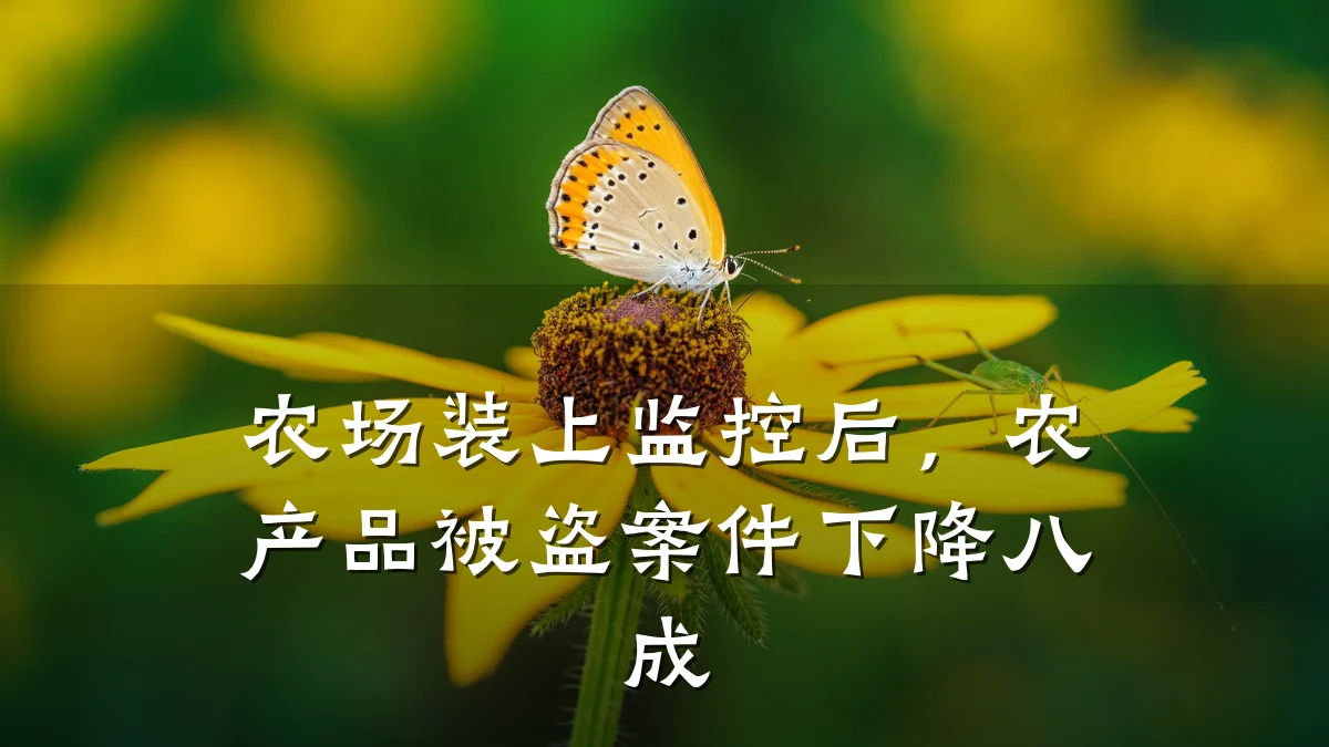 农场装上监控后,农产品被盗案件下降八成