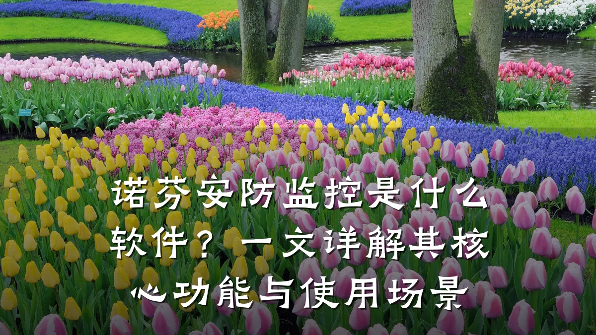 诺芬安防监控是什么软件?一文详解其核心功能与使用场景