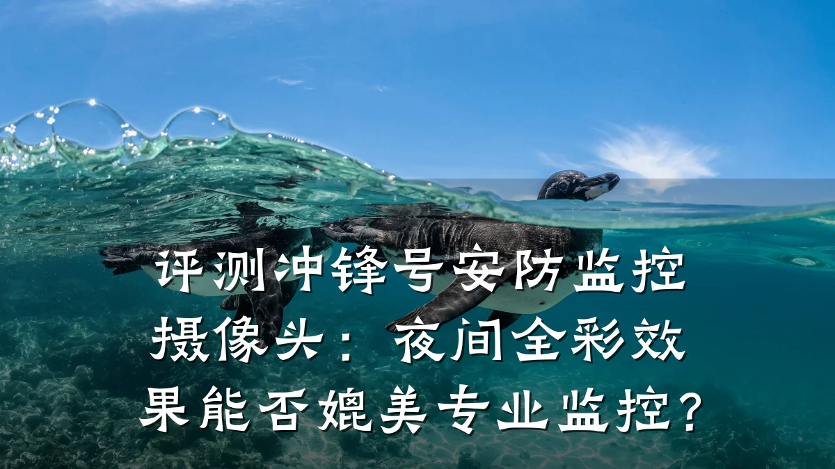 评测冲锋号安防监控摄像头:夜间全彩效果能否媲美专业监控?