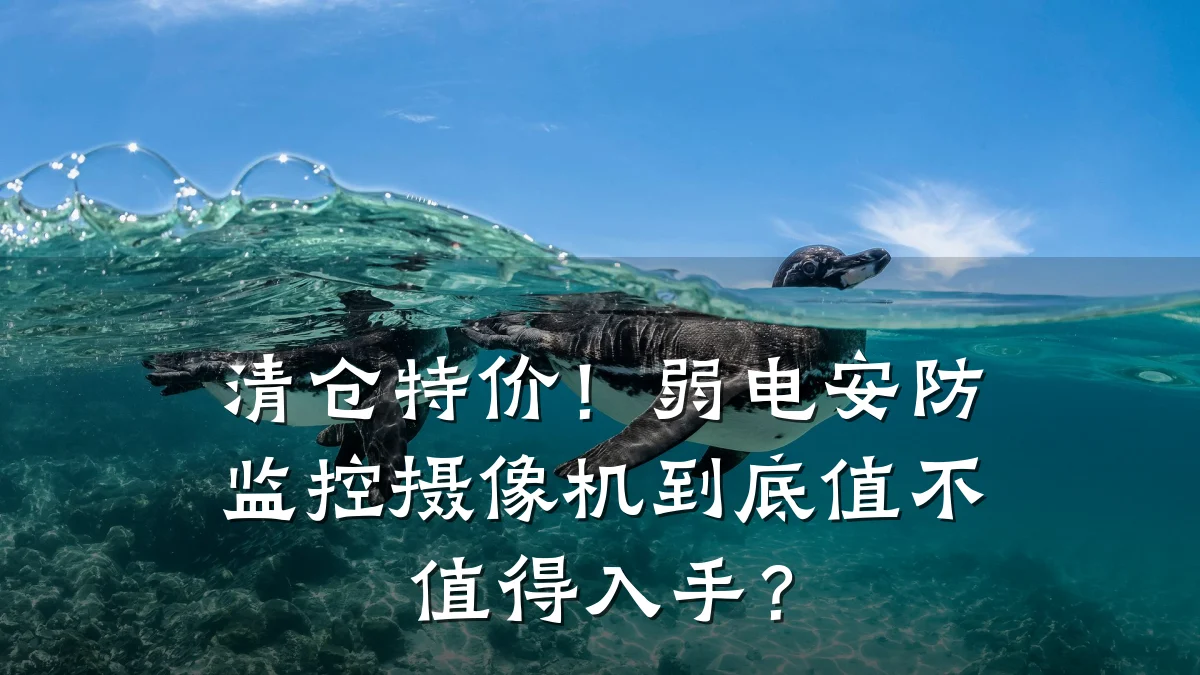 清仓特价!弱电安防监控摄像机到底值不值得入手?