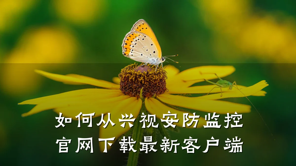 如何从兴视安防监控官网下载最新客户端