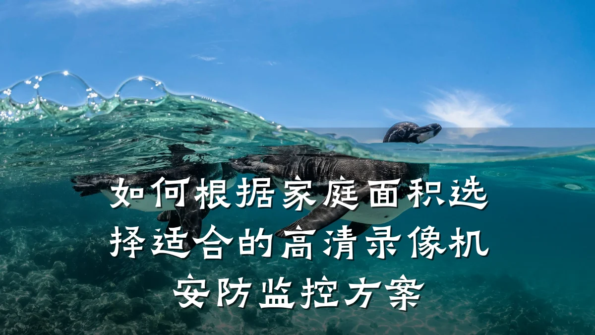 如何根据家庭面积选择适合的高清录像机安防监控方案