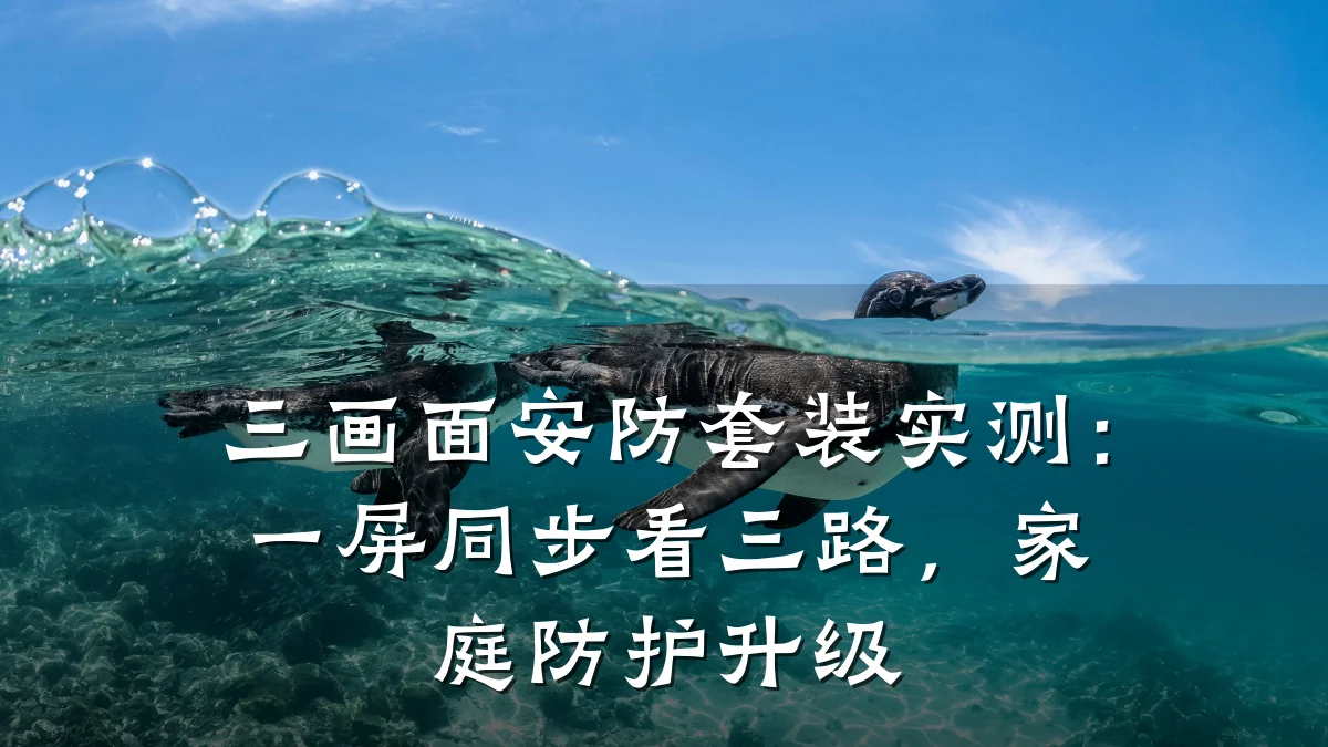 三画面安防套装实测:一屏同步看三路,家庭防护升级