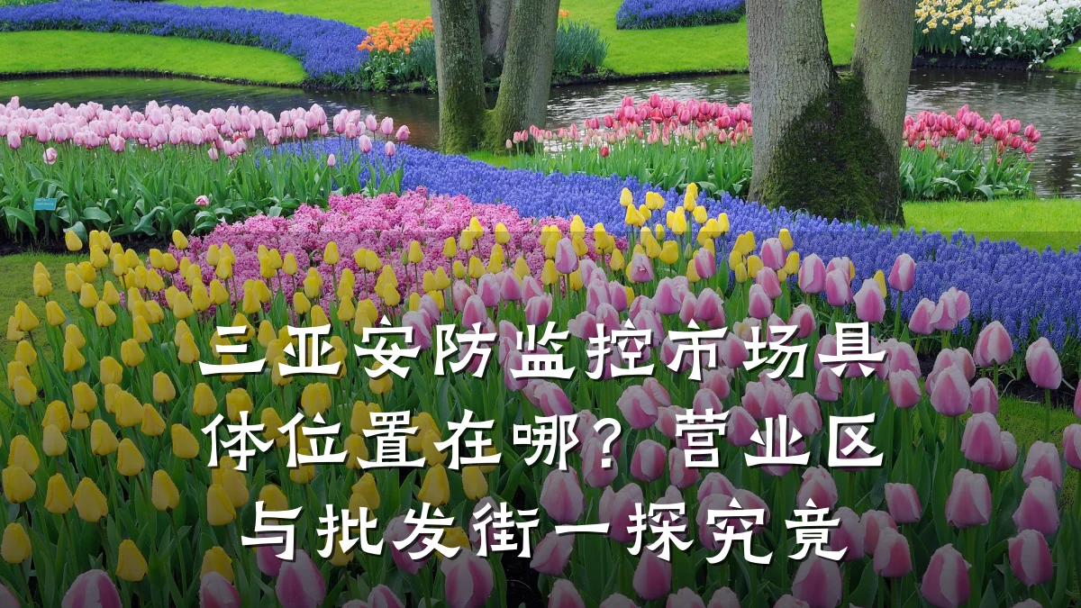 三亚安防监控市场具体位置在哪?营业区与批发街一探究竟