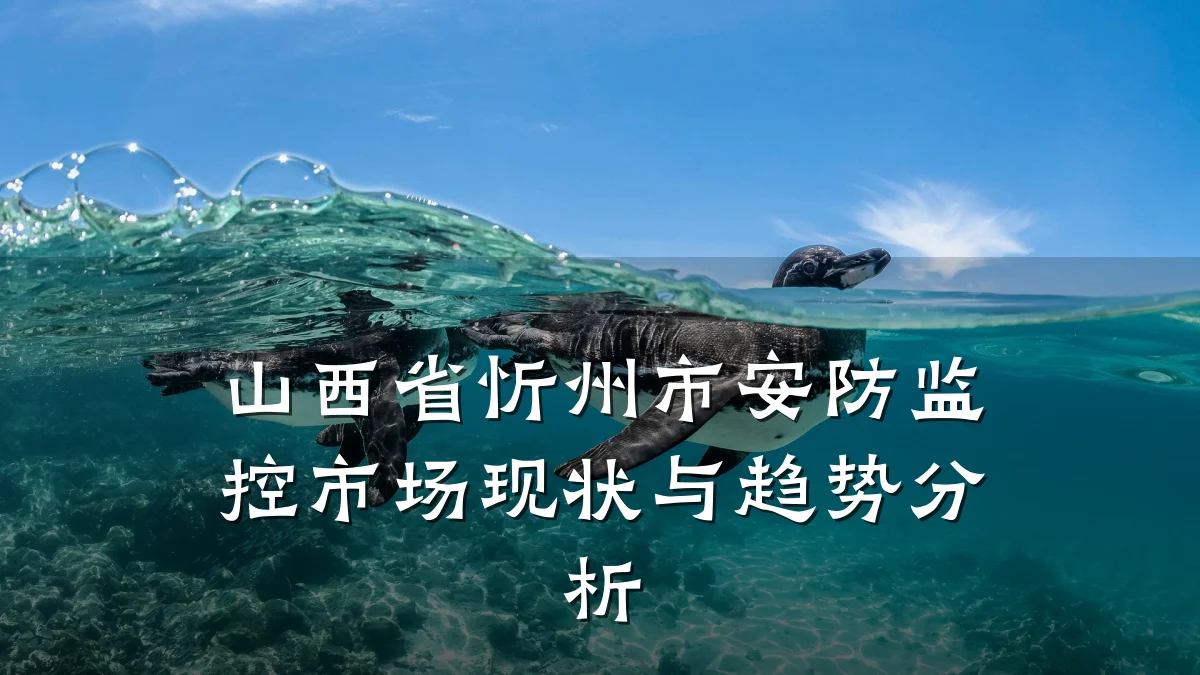 山西省忻州市安防监控市场现状与趋势分析