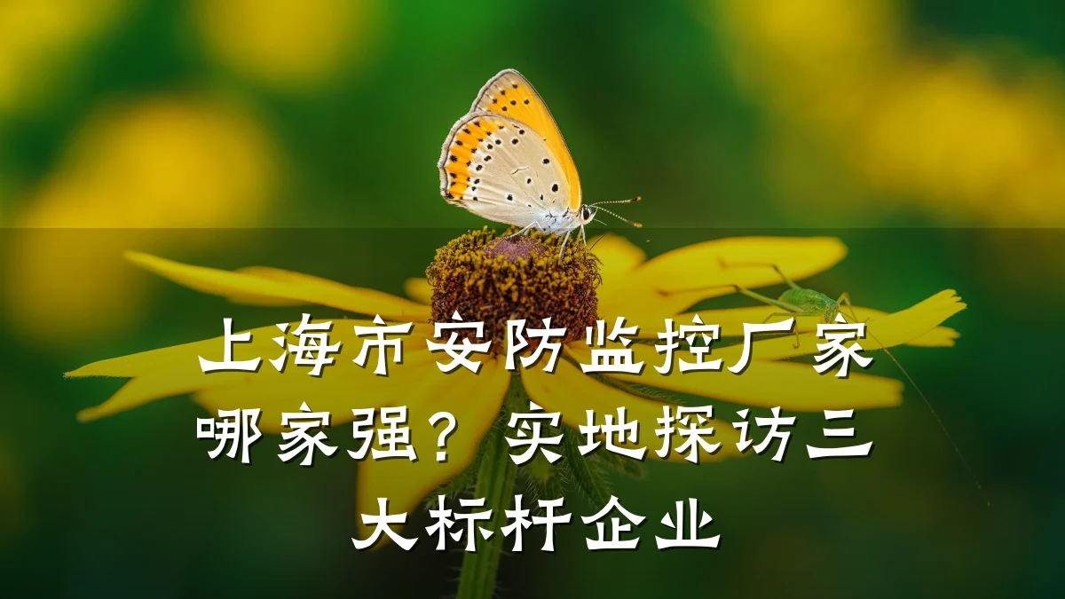 上海市安防监控厂家哪家强?实地探访三大标杆企业