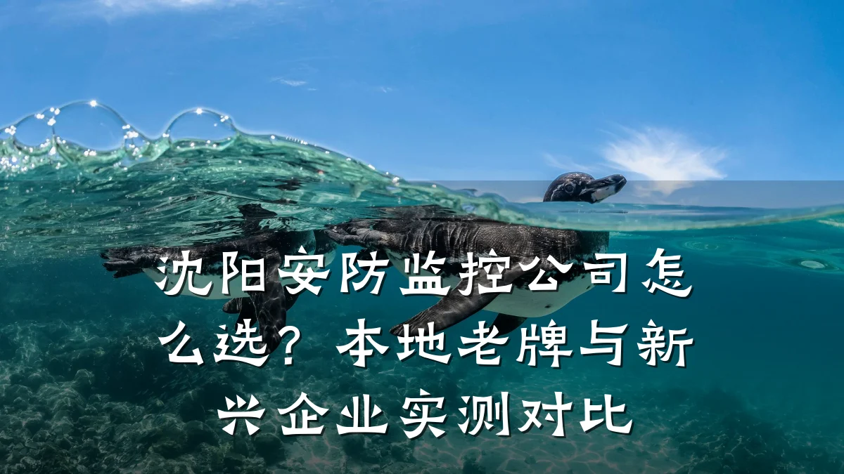 沈阳安防监控公司怎么选？本地老牌与新兴企业实测对比