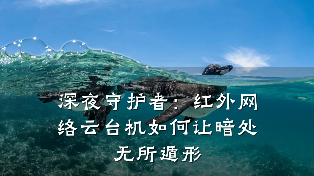 深夜守护者:红外网络云台机如何让暗处无所遁形