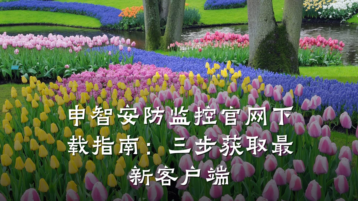 申智安防监控官网下载指南:三步获取最新客户端