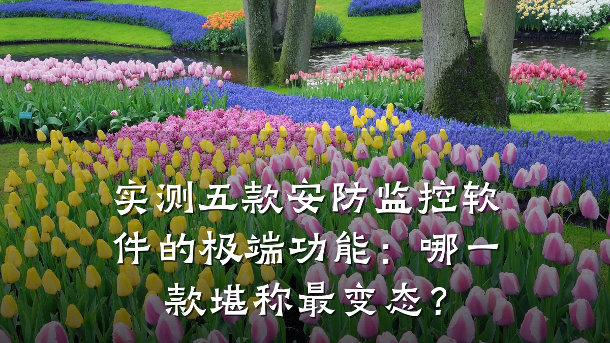 实测五款安防监控软件的极端功能:哪一款堪称最变态?