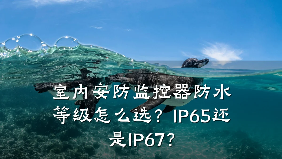 室内安防监控器防水等级怎么选?IP65还是IP67?