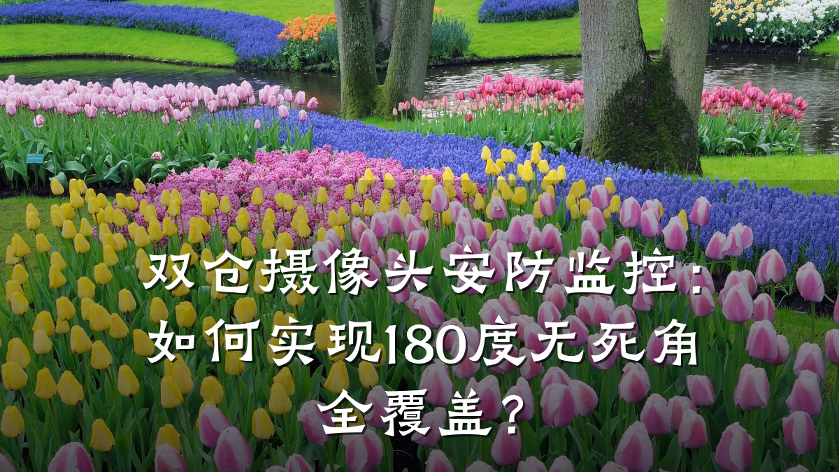 双仓摄像头安防监控:如何实现180度无死角全覆盖?