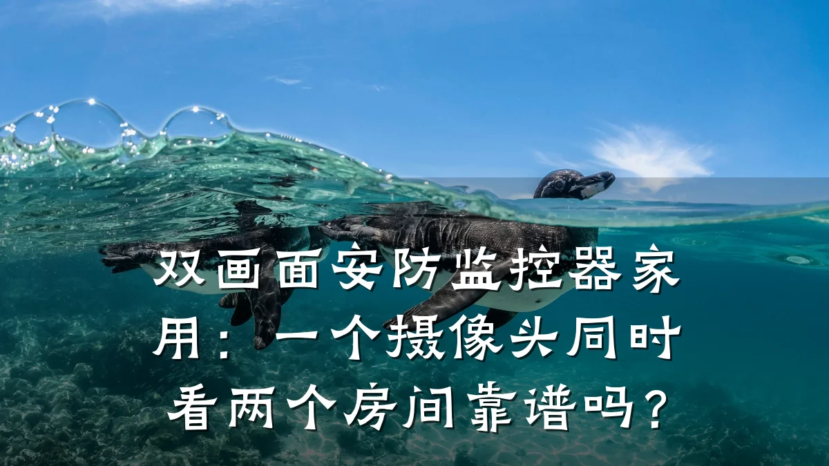 双画面安防监控器家用:一个摄像头同时看两个房间靠谱吗?