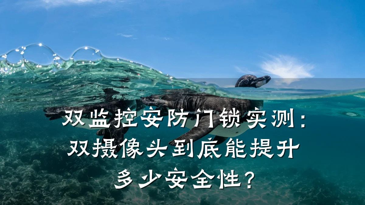 双监控安防门锁实测：双摄像头到底能提升多少安全性？