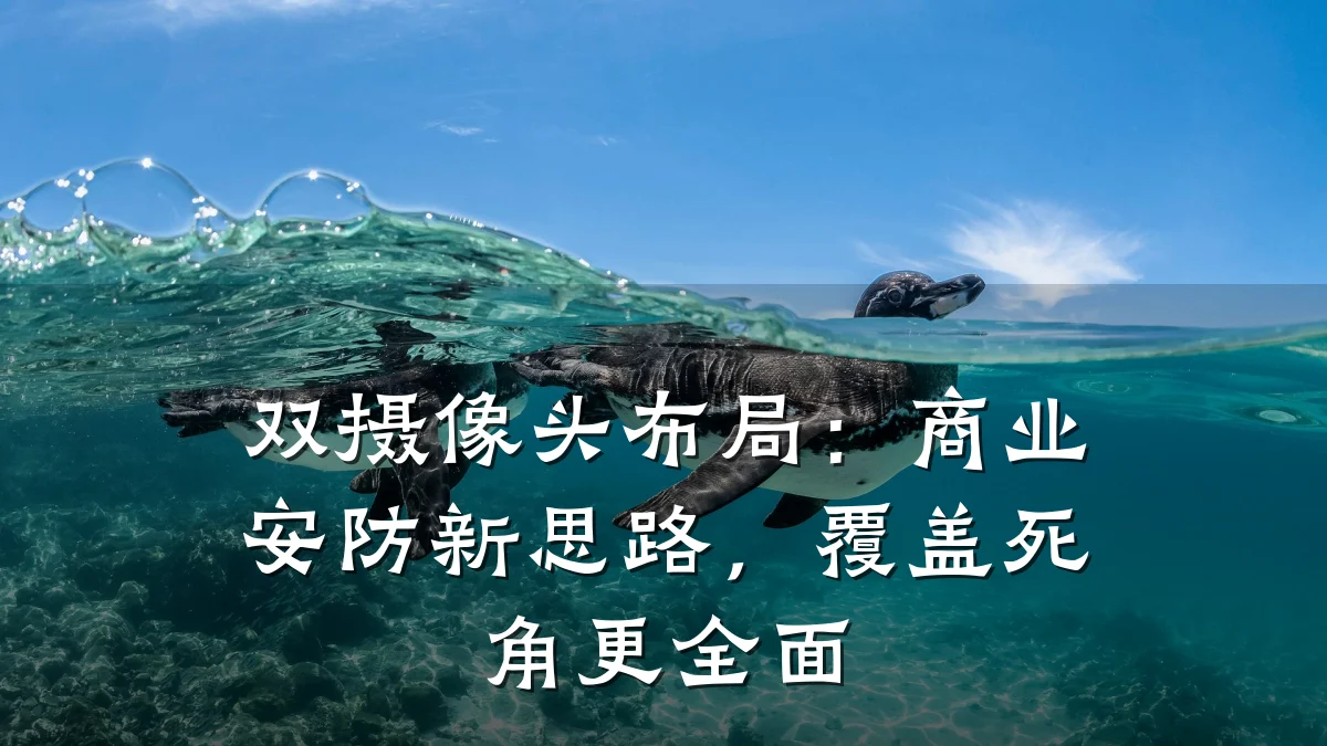 双摄像头布局:商业安防新思路,覆盖死角更全面
