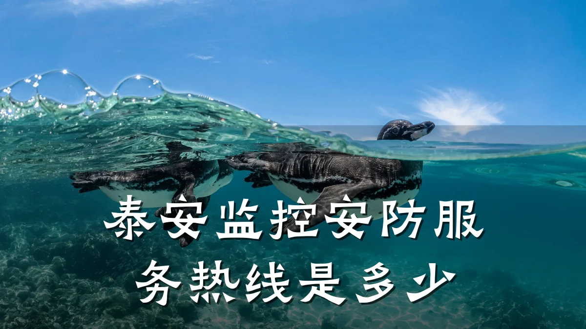 泰安监控安防服务热线是多少