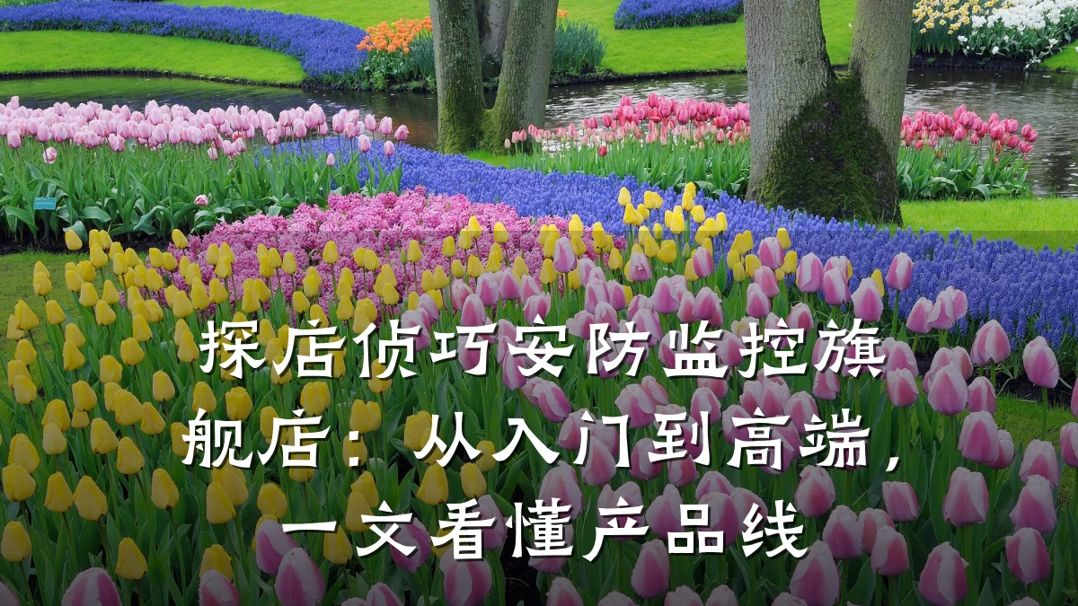 探店侦巧安防监控旗舰店:从入门到高端,一文看懂产品线