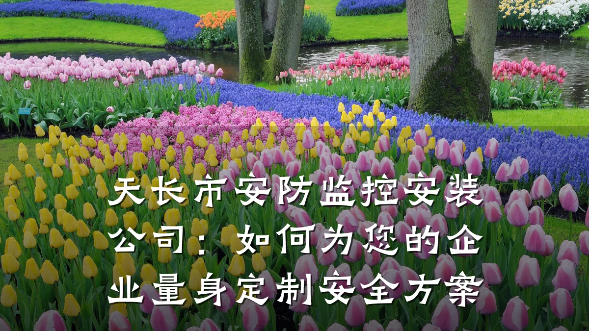 天长市安防监控安装公司：如何为您的企业量身定制安全方案