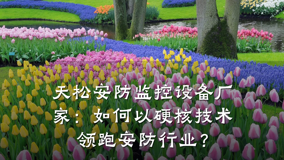 天松安防监控设备厂家:如何以硬核技术领跑安防行业?