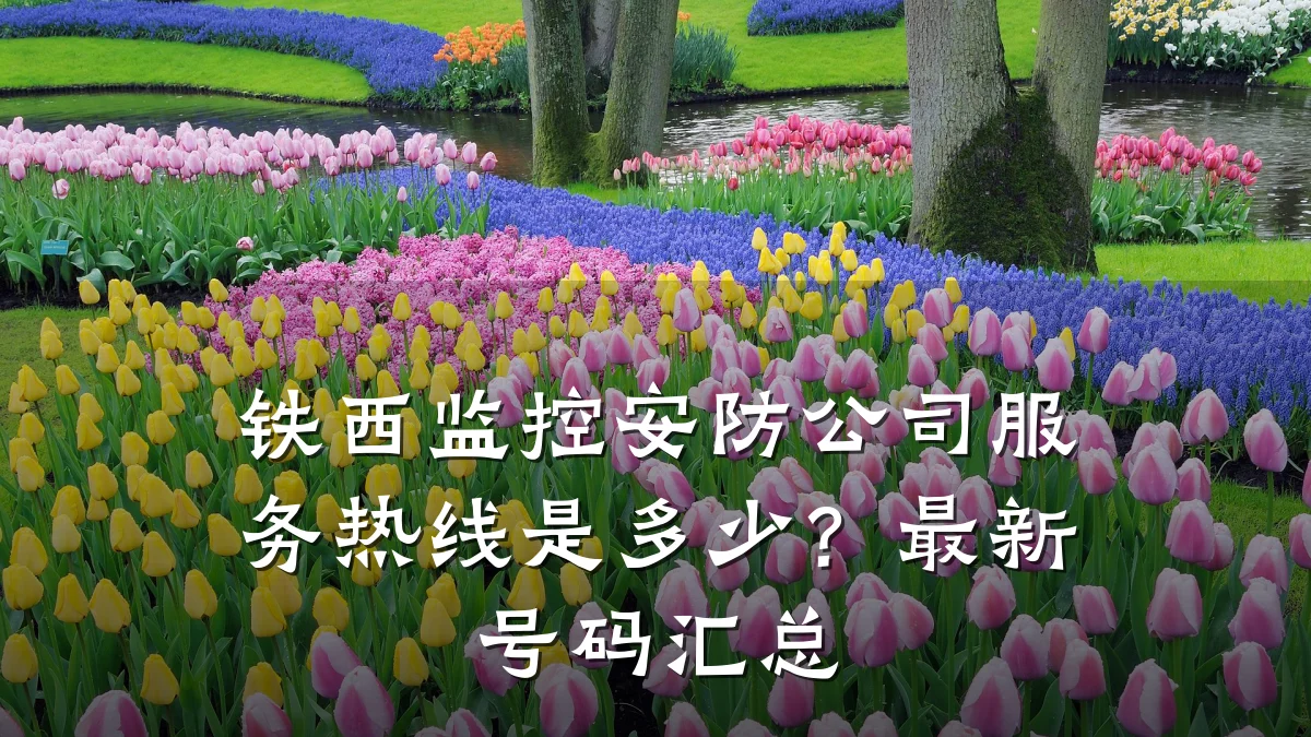 铁西监控安防公司服务热线是多少?最新号码汇总