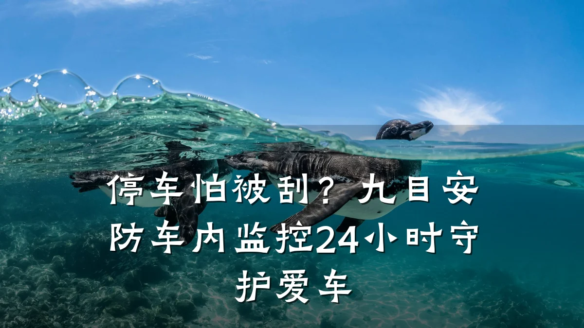 停车怕被刮?九目安防车内监控24小时守护爱车